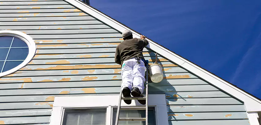 Professional Roof and Siding Repair Services in Elk Grove Village, IL