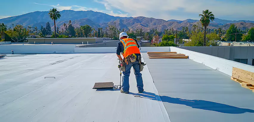 Professional Roof Coating Services in Elk Grove Village, IL