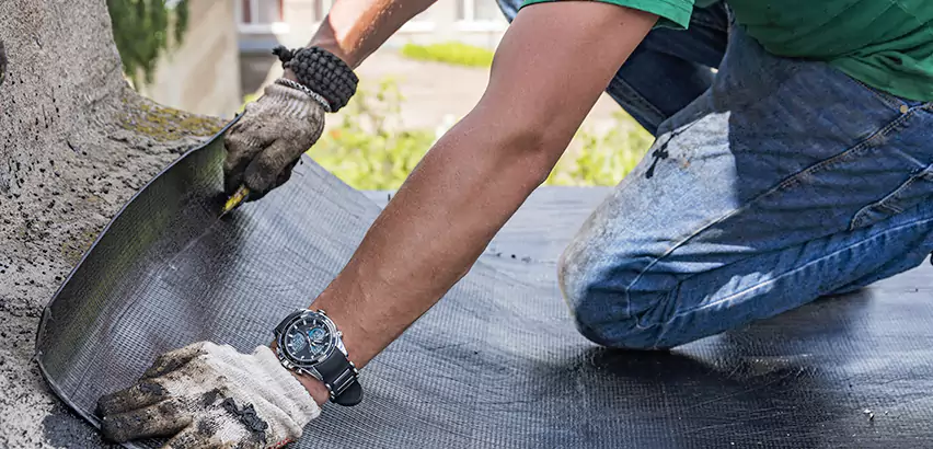 Professional Roof Water Damage Repair Services in Elk Grove Village, IL