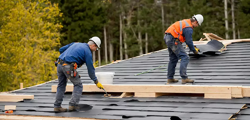 Agricultural Roof Maintenance Elk Grove Village