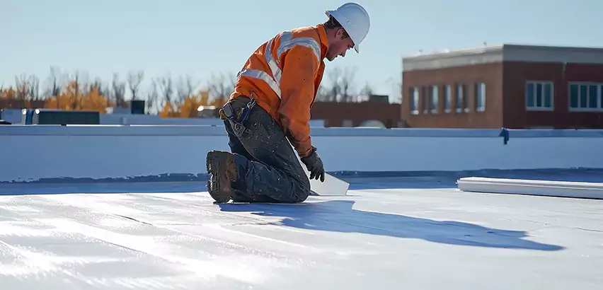 Commercial Roof Coating in Elk Grove Village