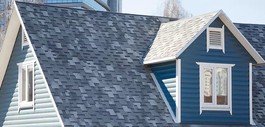 Shingle Roof Maintenance in Elk Grove Village