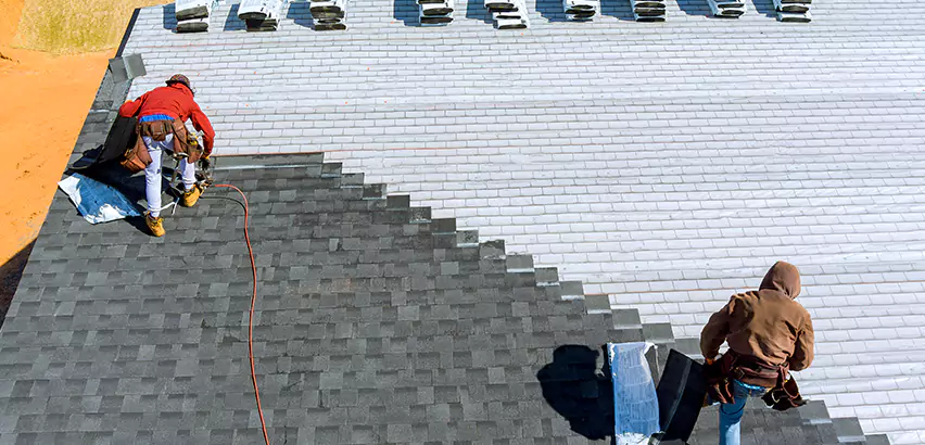 Cement Tile Roof Restoration in Elk Grove Village