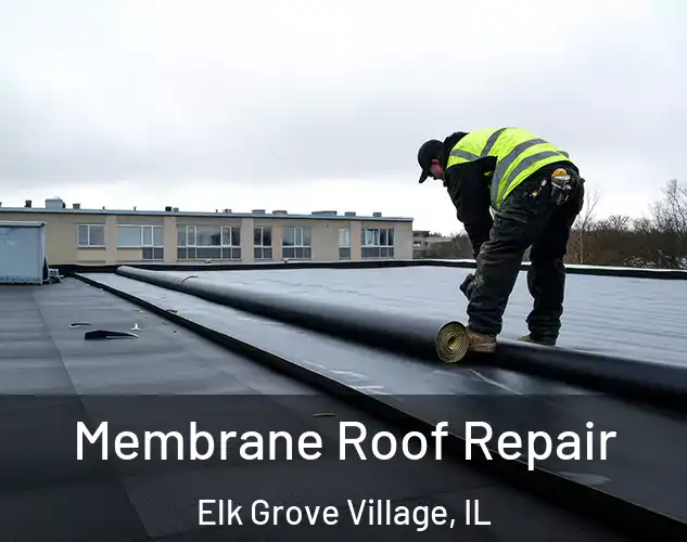  Membrane Roof Repair Elk Grove Village, IL