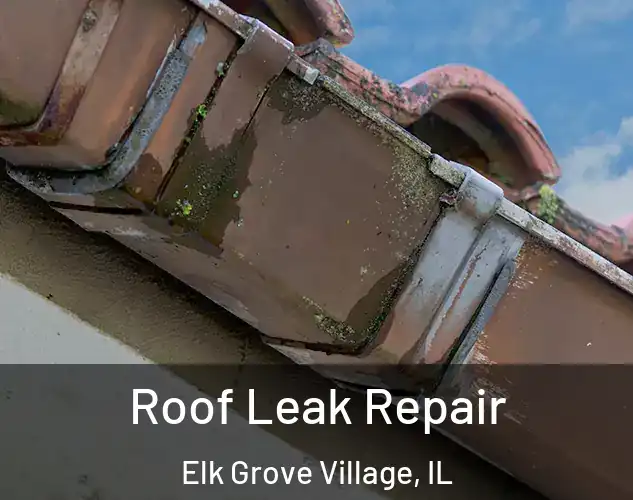  Roof Leak Repair Elk Grove Village, IL
