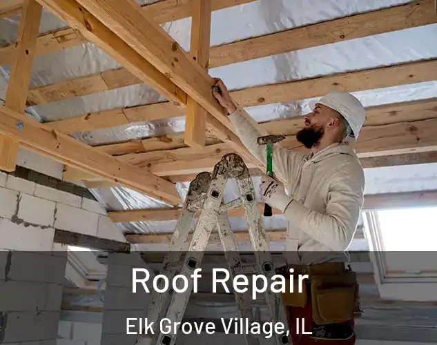  Roof Repair Elk Grove Village, IL