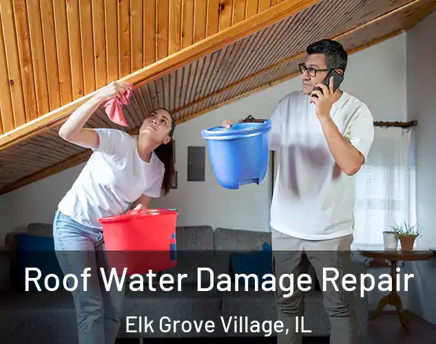  Roof Water Damage Repair Elk Grove Village, IL