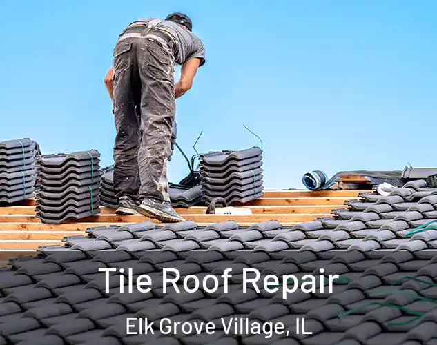  Tile Roof Repair Elk Grove Village, IL